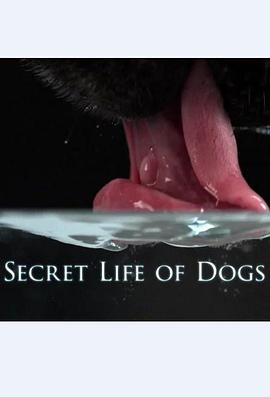 狗的秘密生活