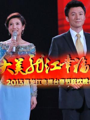 黑龙江卫视2013春晚 2013年