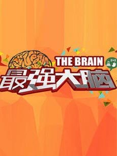 The Brain[最强大脑德国版] 2013年
