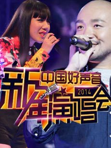 2014浙江卫视跨年演唱会[中国好声音新年演唱会] 2014年