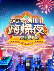 2019湖南卫视苏宁易购11.11嗨爆夜 2019年