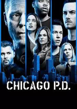 芝加哥警署第六季