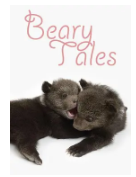 Beary Tales/毛熊养成记