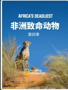 非洲致命动物 第四季