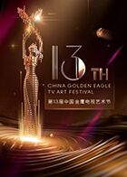 第十三届中国金鹰电视艺术节