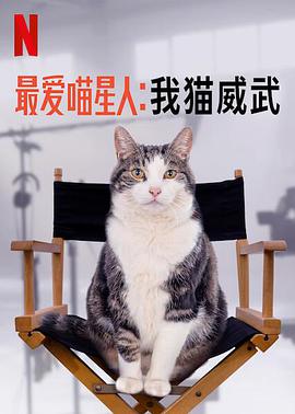 最爱喵星人我猫威武最爱喵星人我猫威武